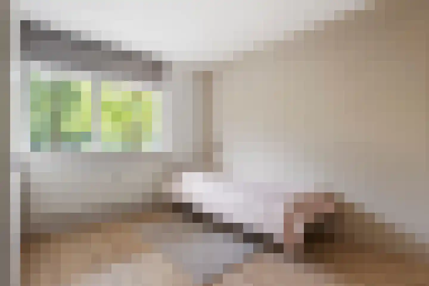 Koolmeesstraat 3 Leiderdorp thumbnail 26