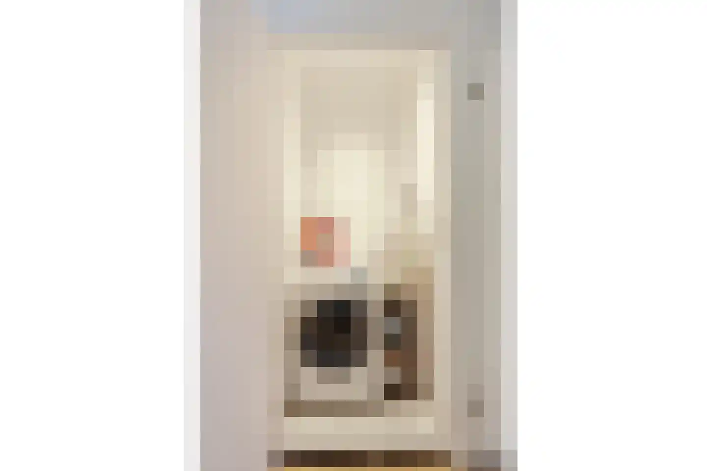 Koolmeesstraat 3 Leiderdorp thumbnail 28