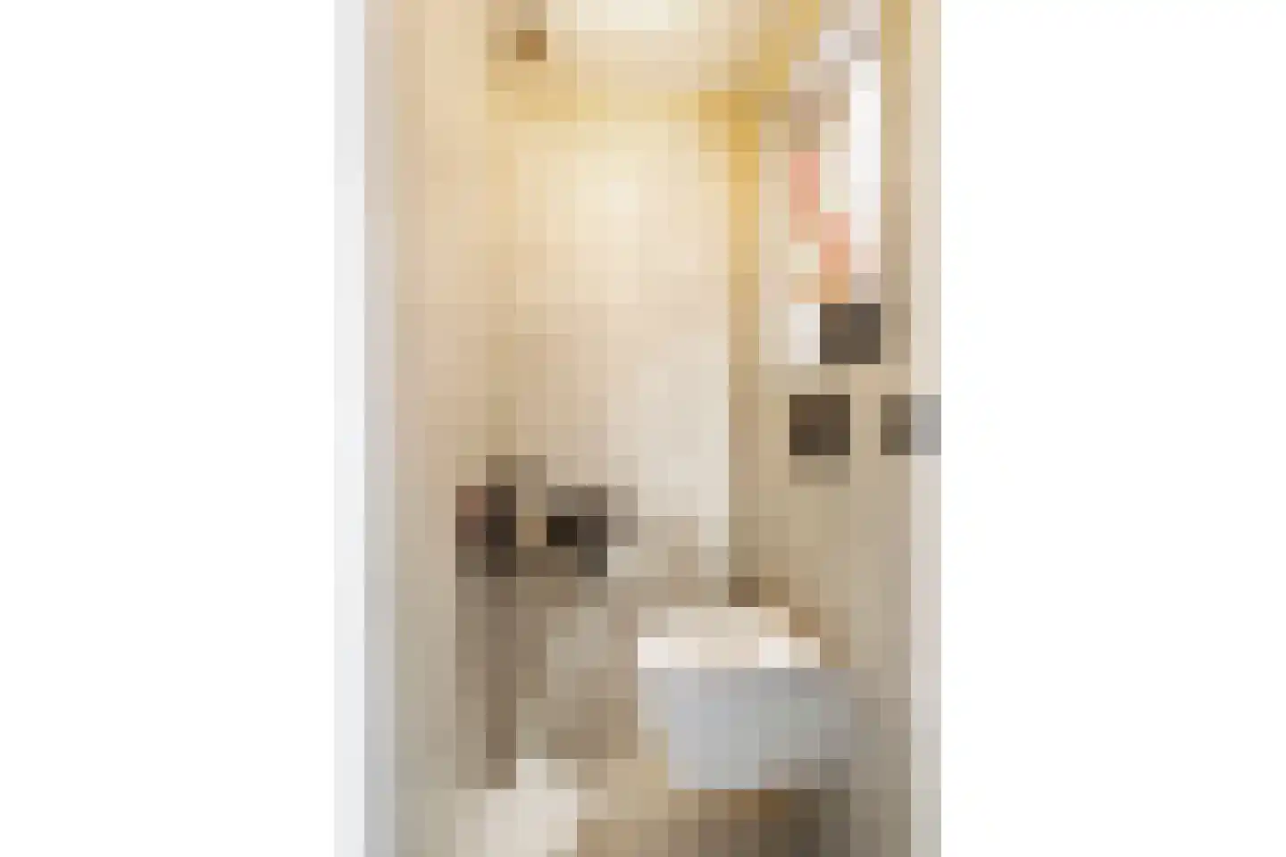 Koolmeesstraat 3 Leiderdorp thumbnail 31
