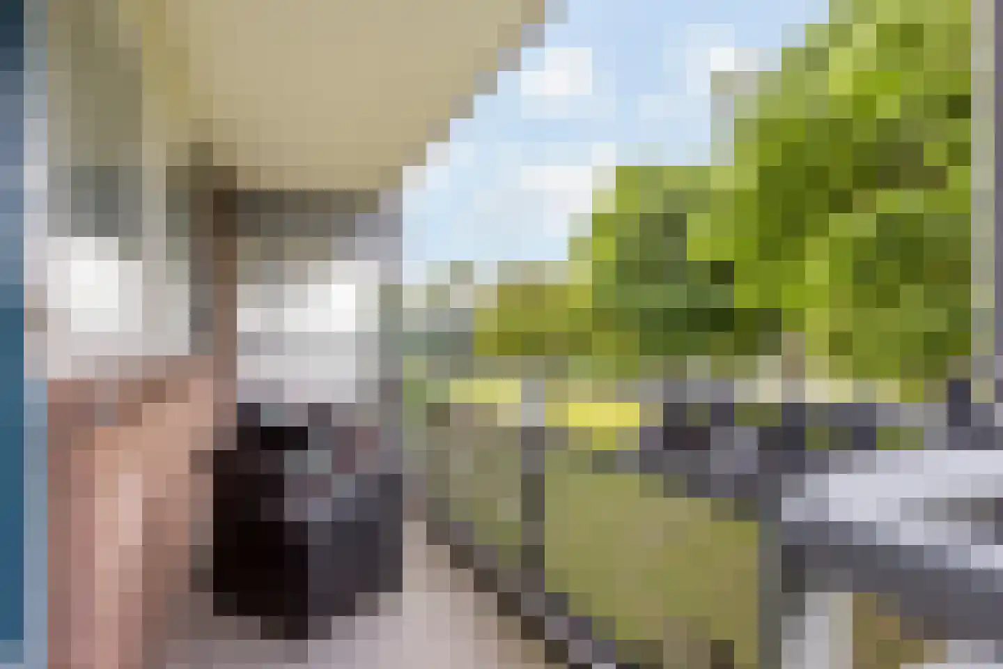 Koolmeesstraat 3 Leiderdorp thumbnail 4