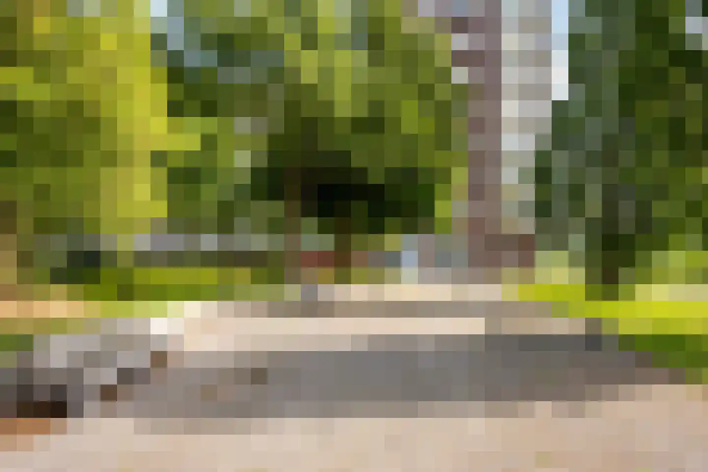 Koolmeesstraat 3 Leiderdorp thumbnail 41