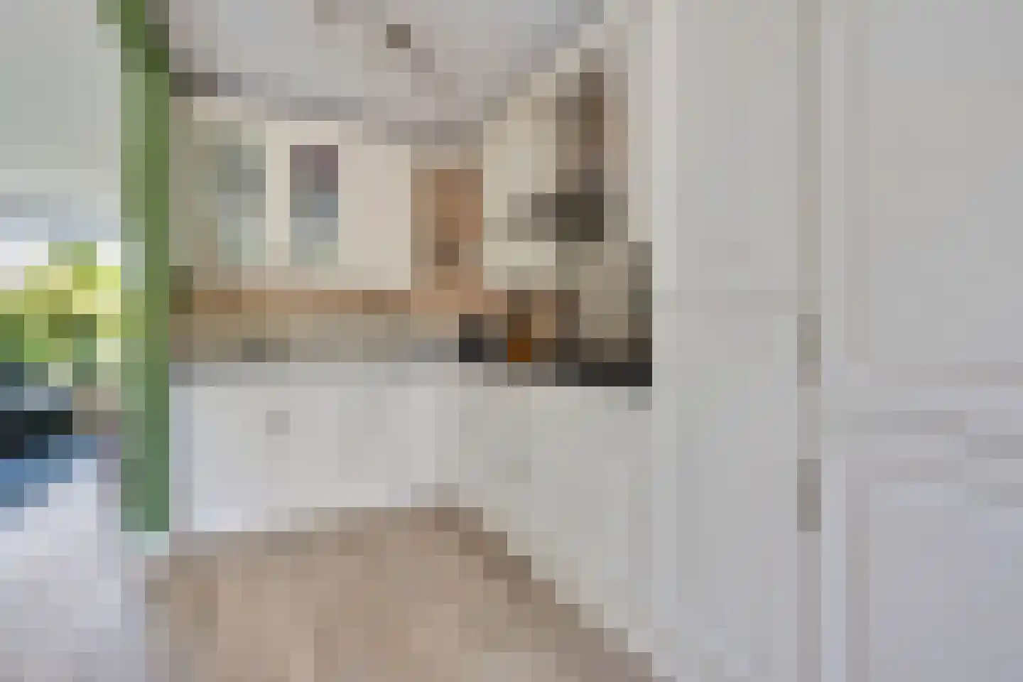 Koolmeesstraat 31 Maassluis thumbnail 12