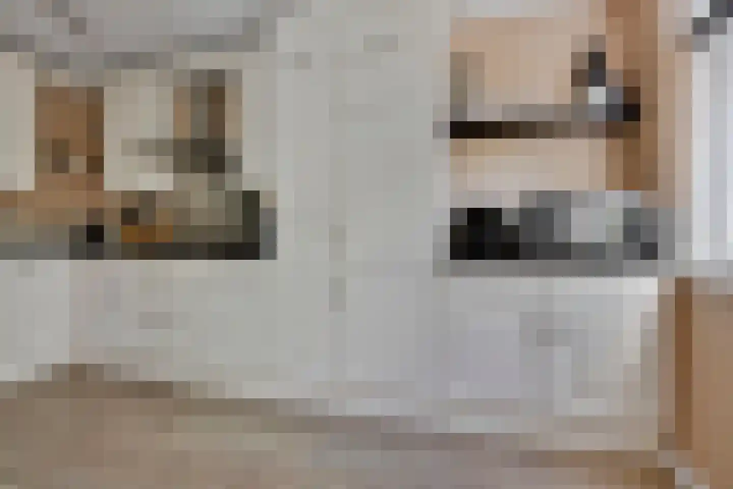 Koolmeesstraat 31 Maassluis thumbnail 14