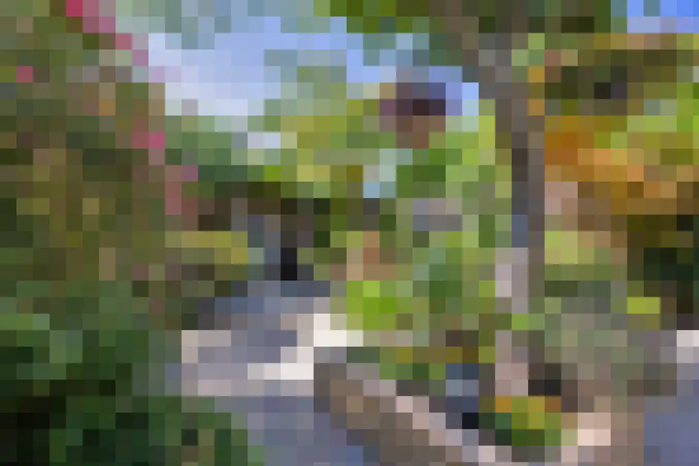 Koolmeesstraat 31 Maassluis thumbnail 16