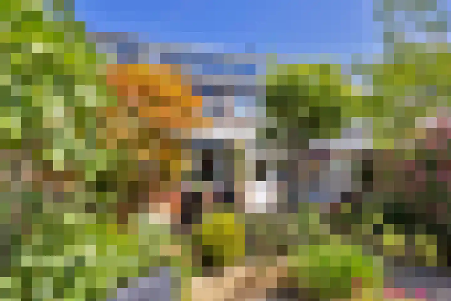 Koolmeesstraat 31 Maassluis thumbnail 20