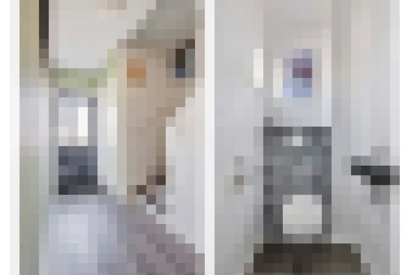 Koolmeesstraat 31 Maassluis thumbnail 21