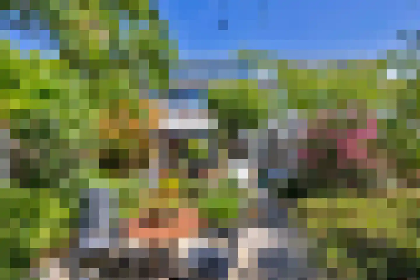 Koolmeesstraat 31 Maassluis thumbnail 4