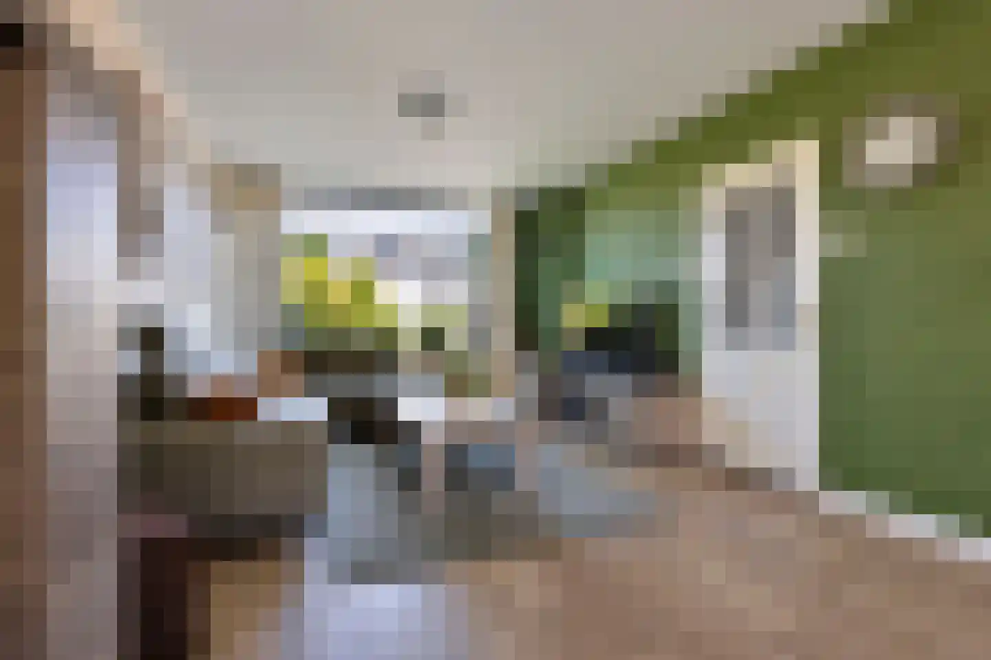 Koolmeesstraat 31 Maassluis thumbnail 8