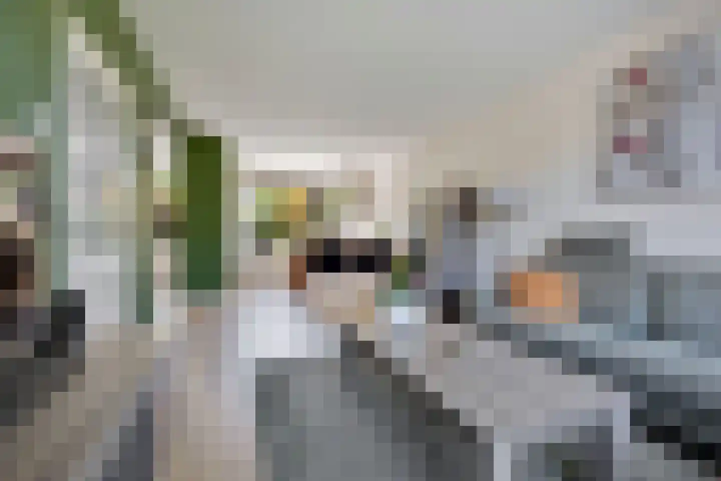 Koolmeesstraat 31 Maassluis thumbnail 9