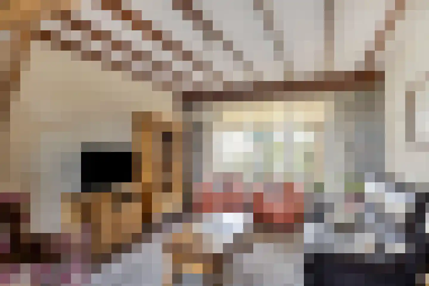Koolmeesstraat 32 Odiliapeel thumbnail 10