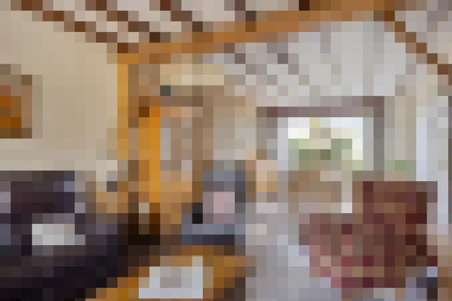 Koolmeesstraat 32 Odiliapeel thumbnail 11