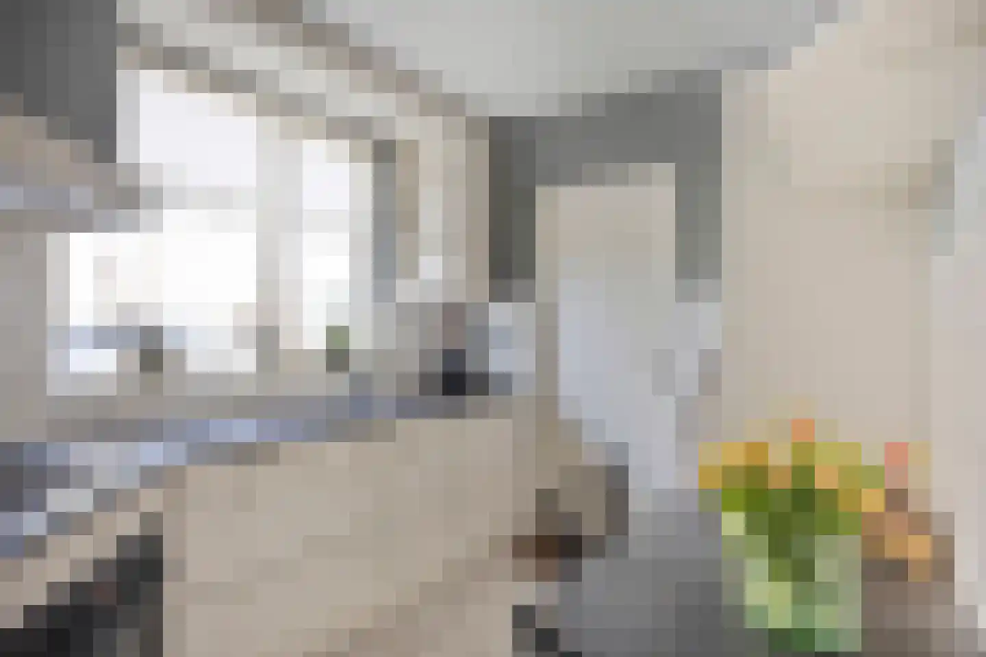 Koolmeesstraat 32 Odiliapeel thumbnail 13