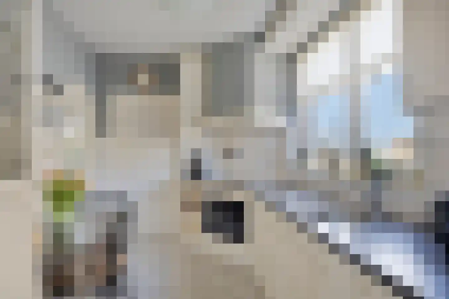 Koolmeesstraat 32 Odiliapeel thumbnail 14