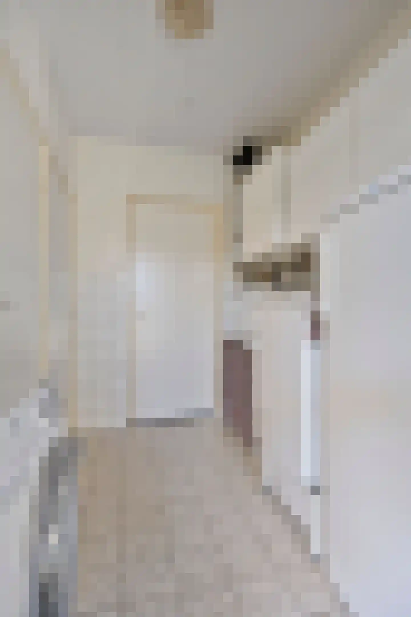 Koolmeesstraat 32 Odiliapeel thumbnail 16