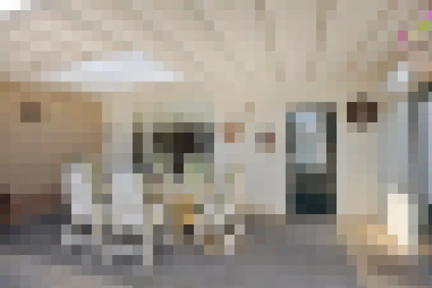 Koolmeesstraat 32 Odiliapeel thumbnail 4