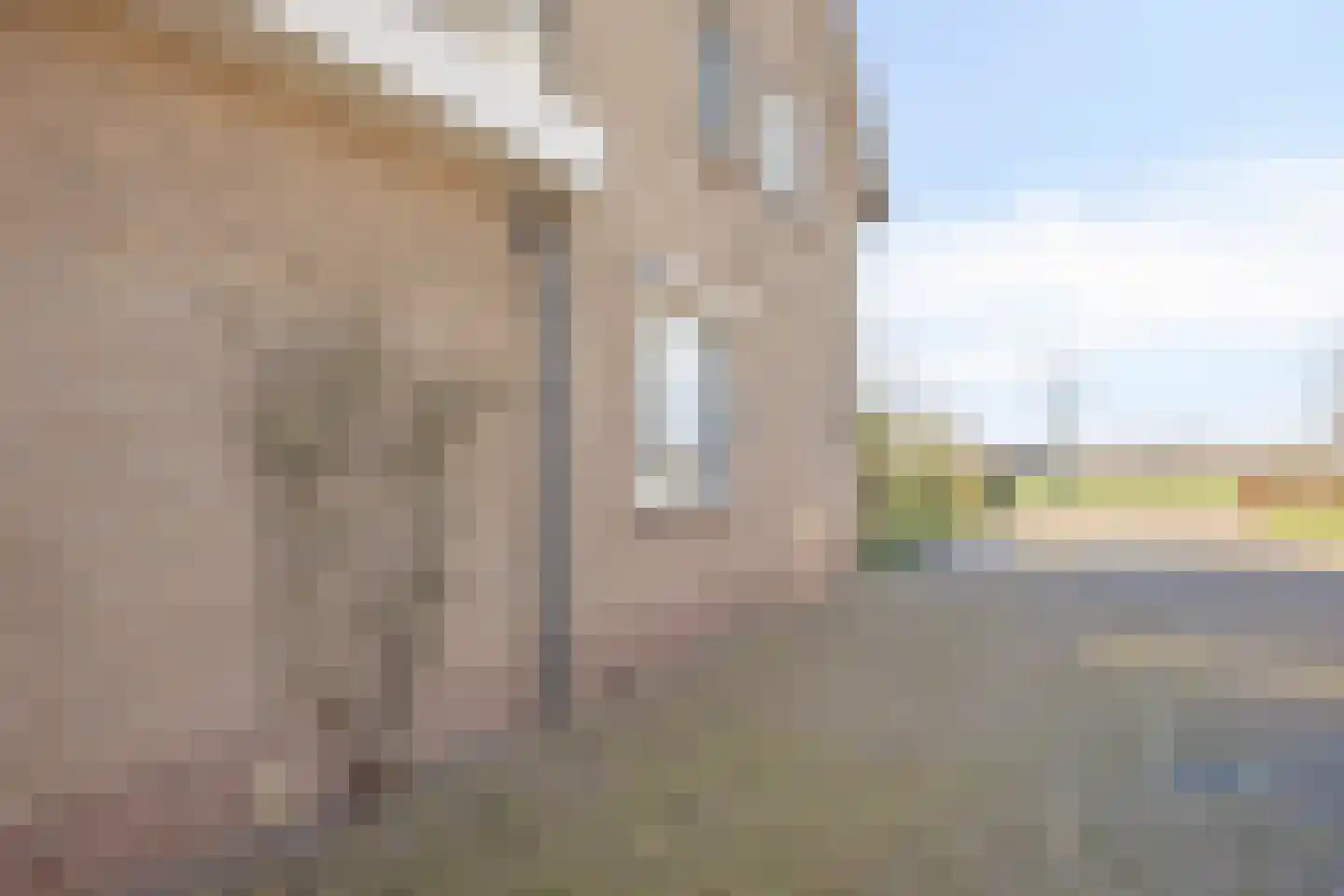 Koolmeesstraat 32 Odiliapeel thumbnail 40