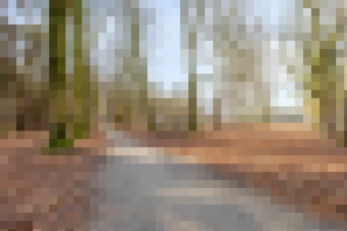 Koolmeesstraat 32 Odiliapeel thumbnail 50