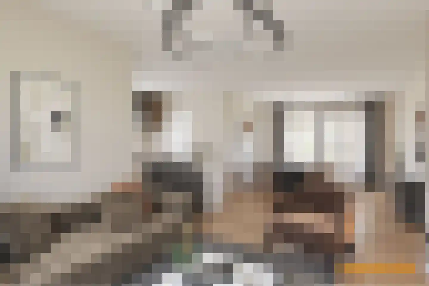 Koolmeesstraat 32 Odiliapeel thumbnail 6