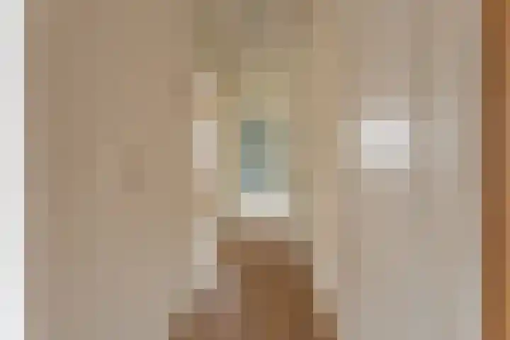 Koolmeesstraat 47 Leiderdorp thumbnail 12