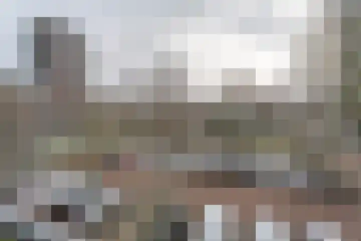 Koolmeesstraat 47 Leiderdorp thumbnail 16