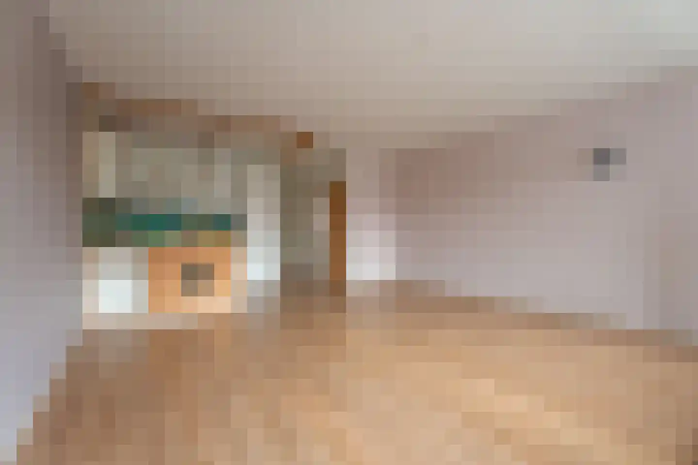 Koolmeesstraat 47 Leiderdorp thumbnail 4