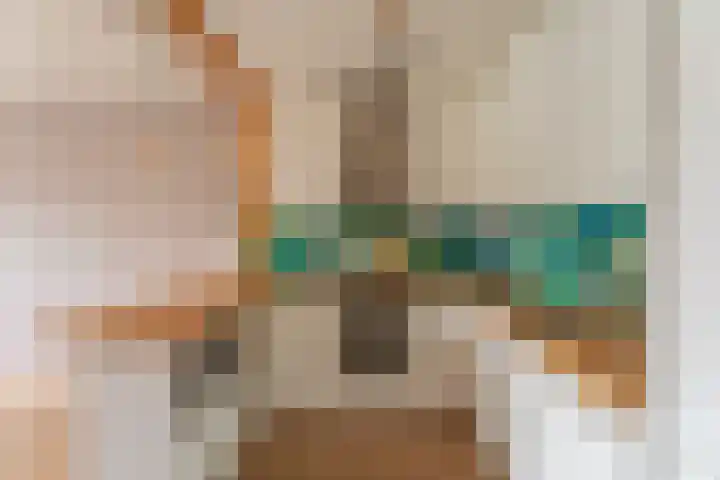 Koolmeesstraat 47 Leiderdorp thumbnail 6