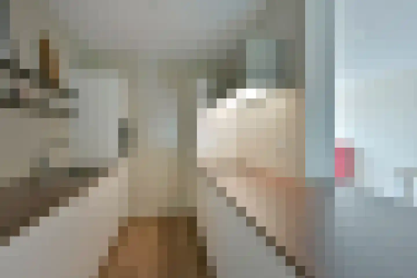 Koolmeesstraat 56 Alphen aan den Rijn thumbnail 15