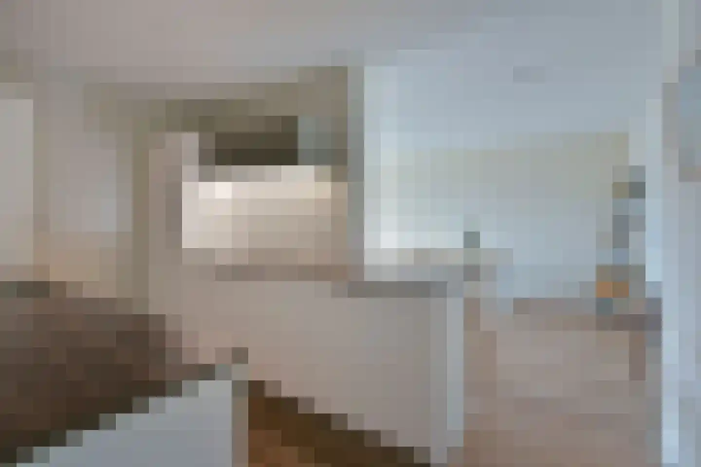 Koolmeesstraat 56 Alphen aan den Rijn thumbnail 17