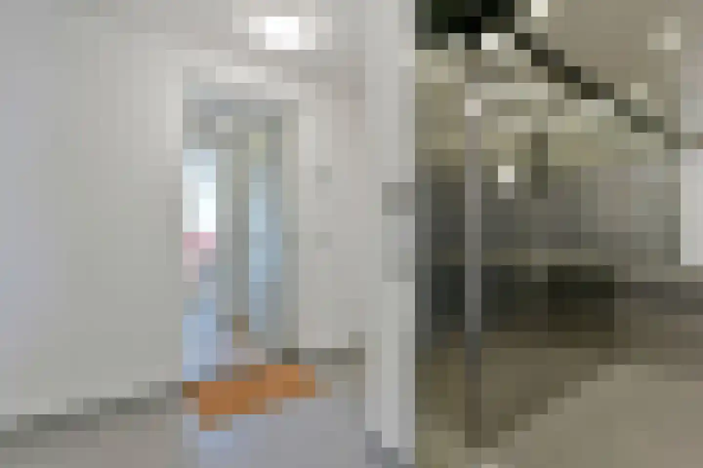 Koolmeesstraat 56 Alphen aan den Rijn thumbnail 5