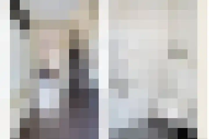 Koolmeesstraat 6 Ommen thumbnail 13