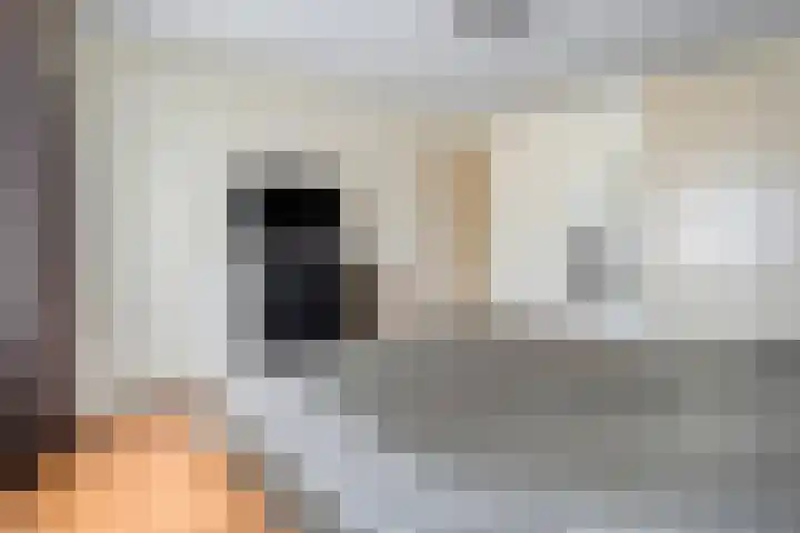 Koolmeesstraat 6 Ommen thumbnail 26