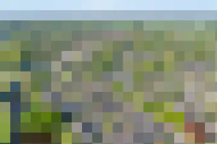 Koolmeesstraat 6 Ommen foto 3