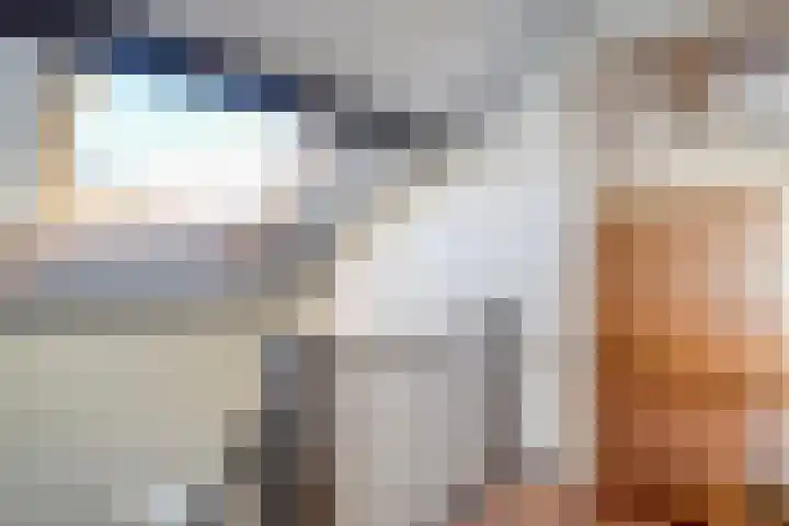 Koolmeesstraat 6 Ommen thumbnail 33