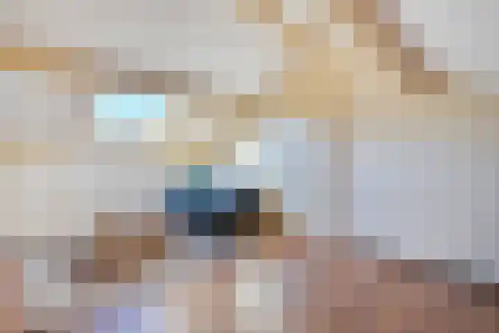 Koolmeesstraat 6 Ommen thumbnail 36