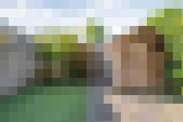 Koolmeesstraat 6 Ommen thumbnail 39