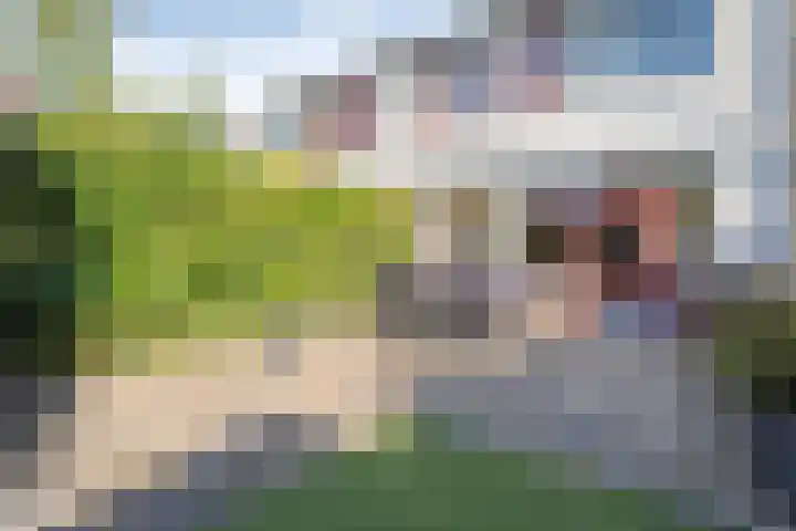 Koolmeesstraat 6 Ommen thumbnail 40