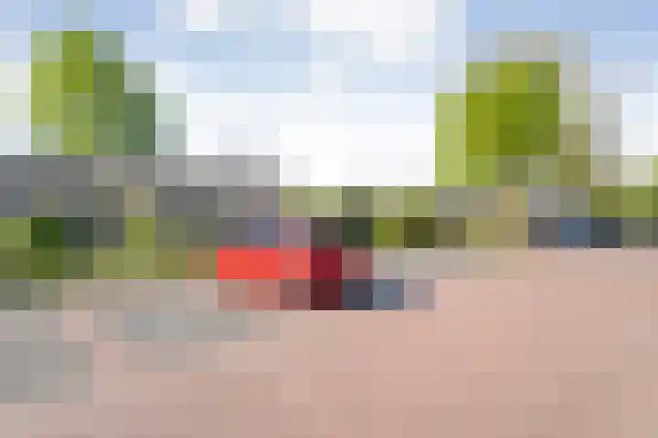 Koolmeesstraat 6 Ommen thumbnail 44