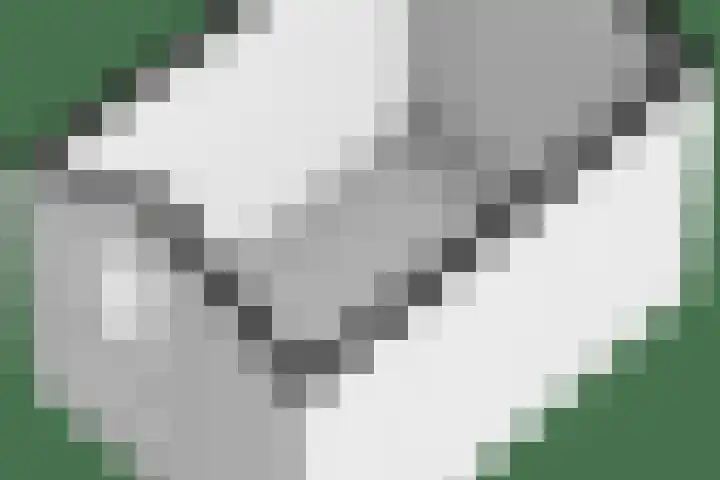 Koolmeesstraat 6 Ommen thumbnail 52