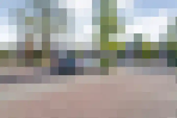 Koolmeesstraat 6 Ommen thumbnail 6