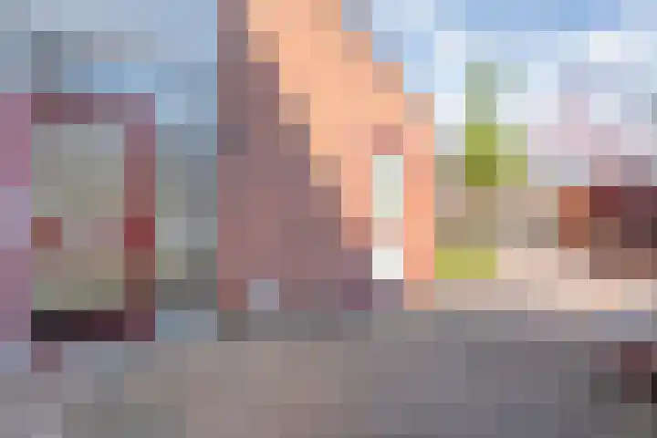 Koolmeesstraat 6 Ommen thumbnail 9