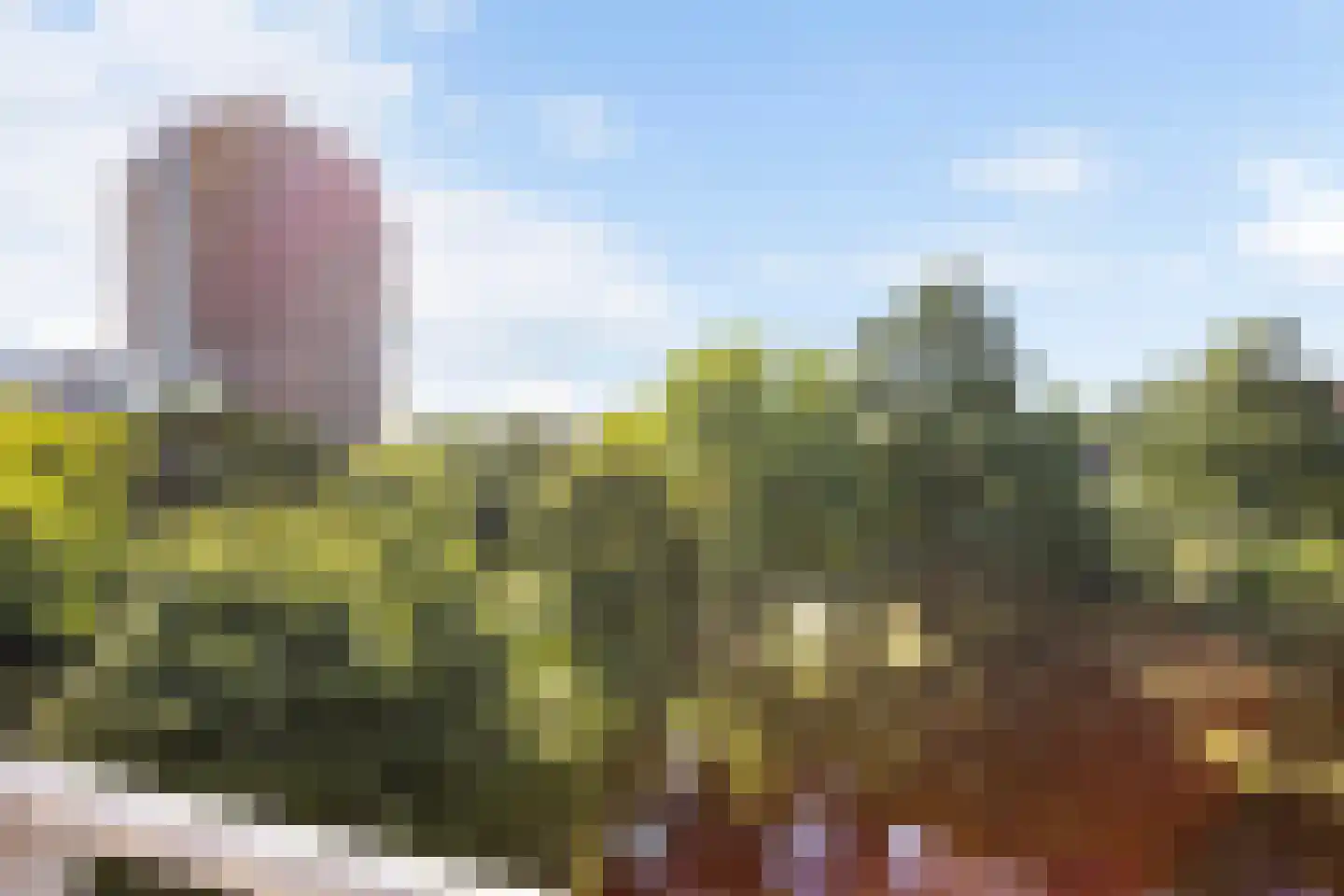 Koolmeesstraat 66 Leiderdorp thumbnail 10