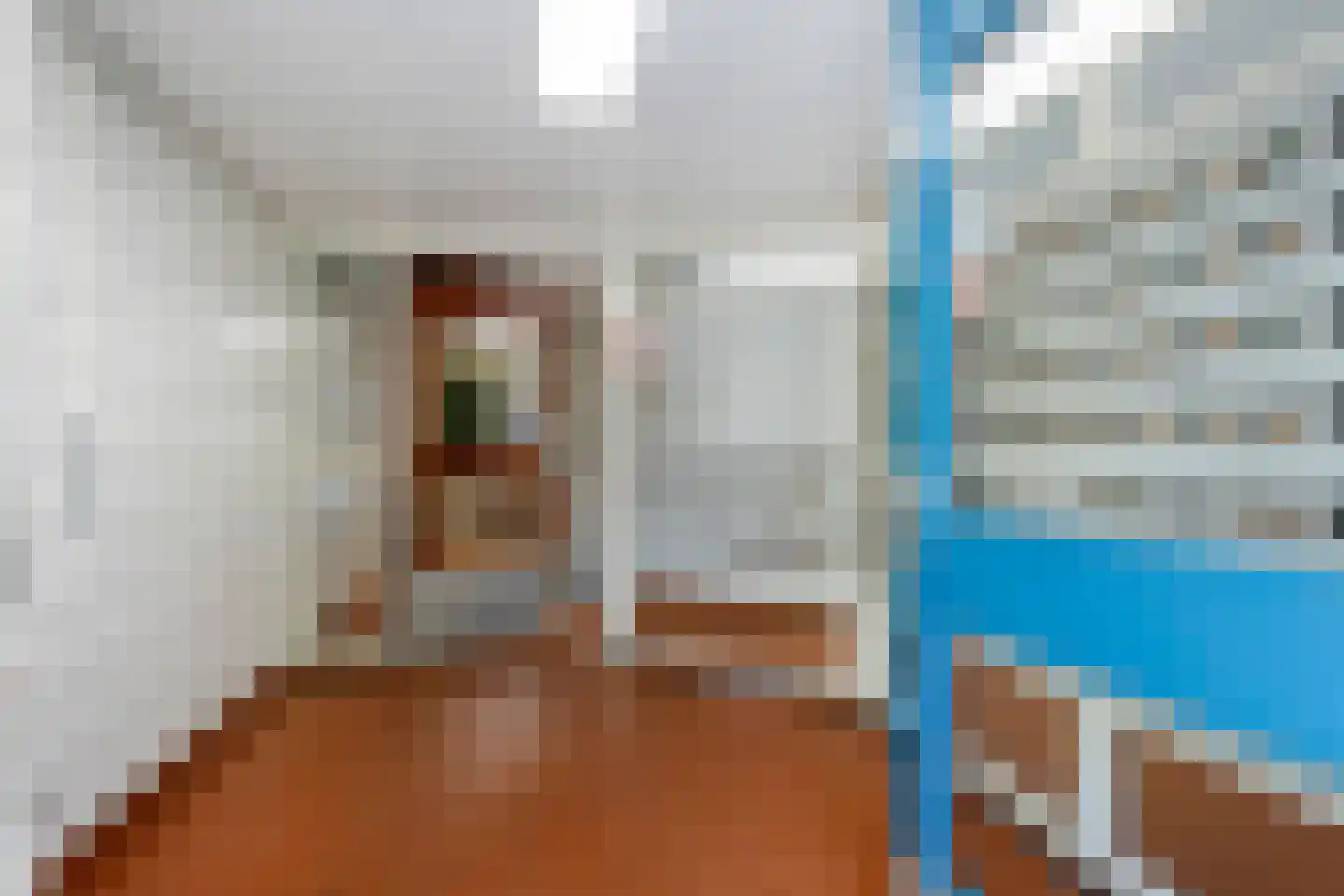 Koolmeesstraat 66 Leiderdorp thumbnail 25