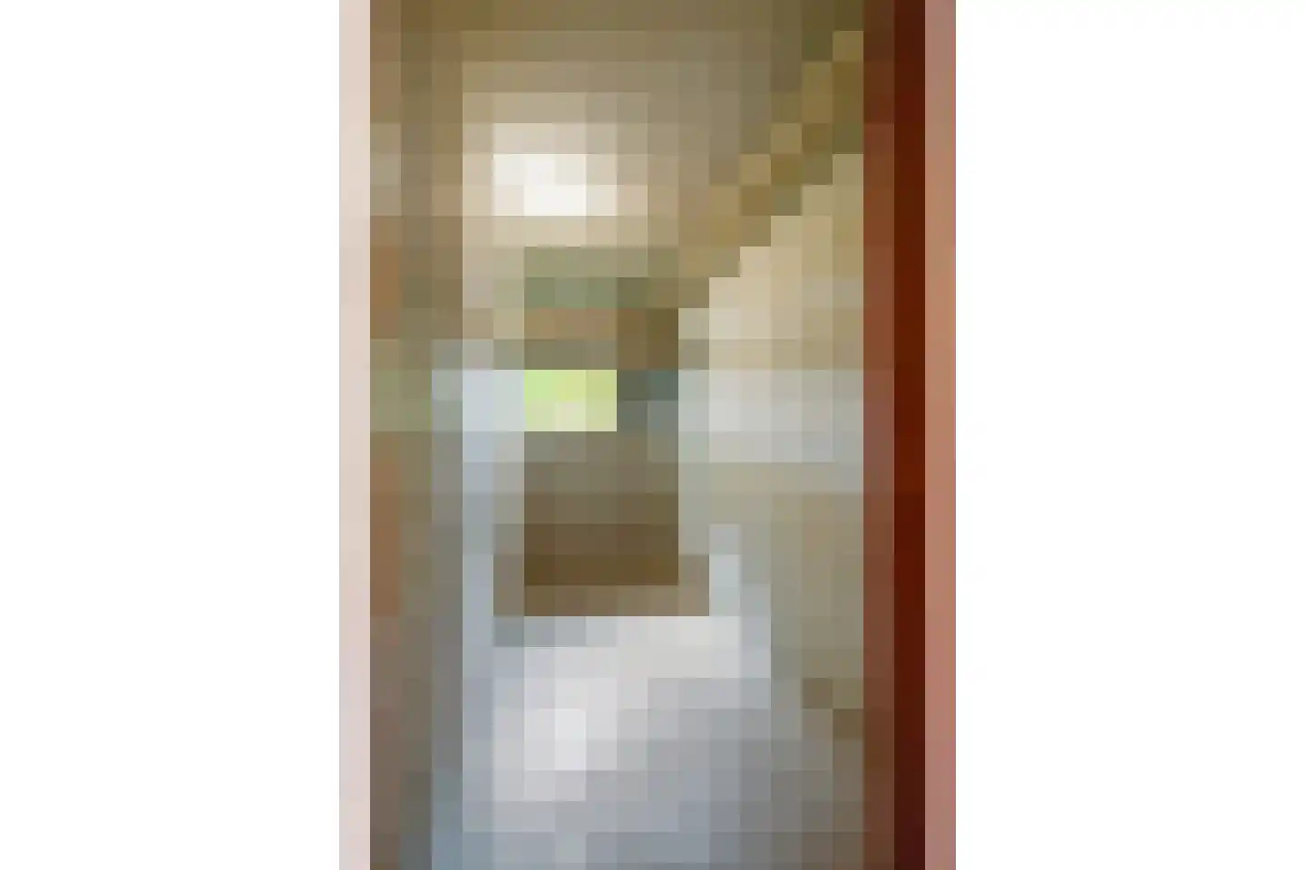 Koolmeesstraat 66 Leiderdorp thumbnail 26
