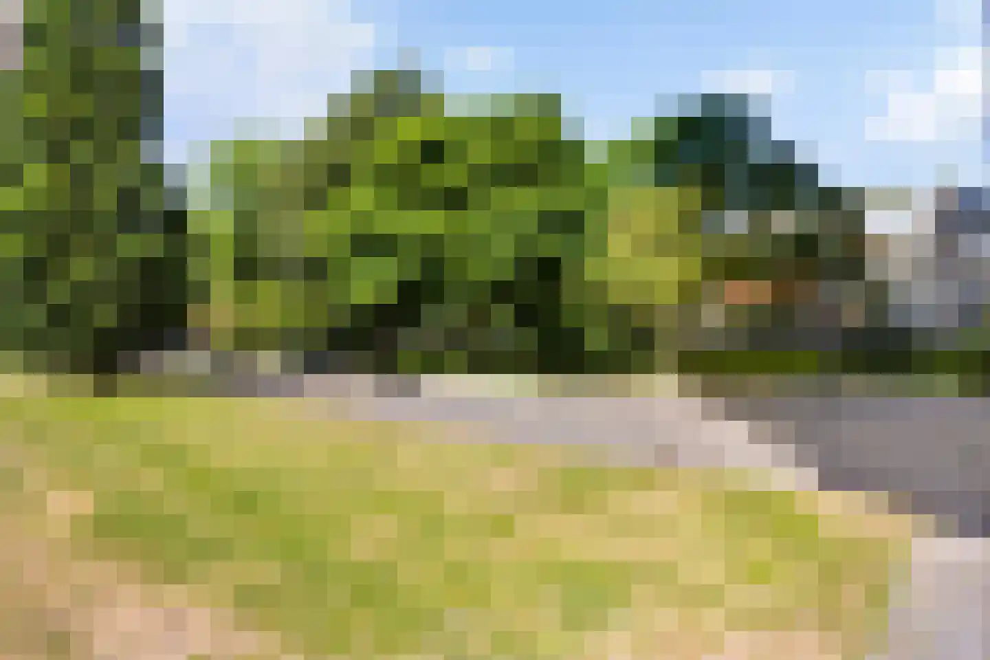 Koolmeesstraat 66 Leiderdorp thumbnail 34