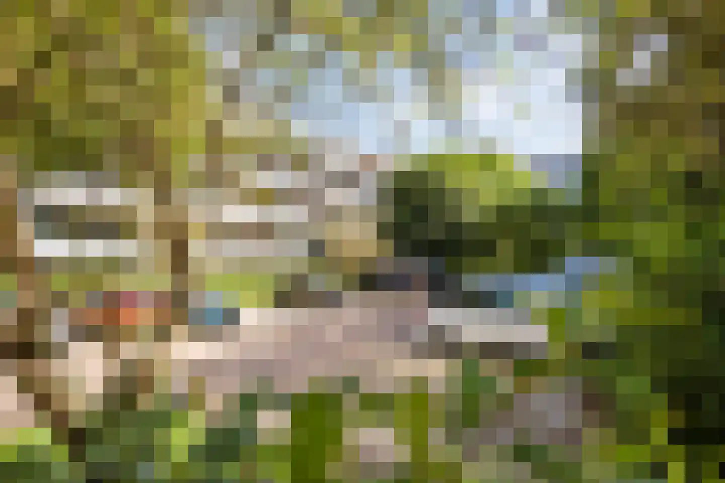 Koolmeesstraat 66 Leiderdorp thumbnail 35