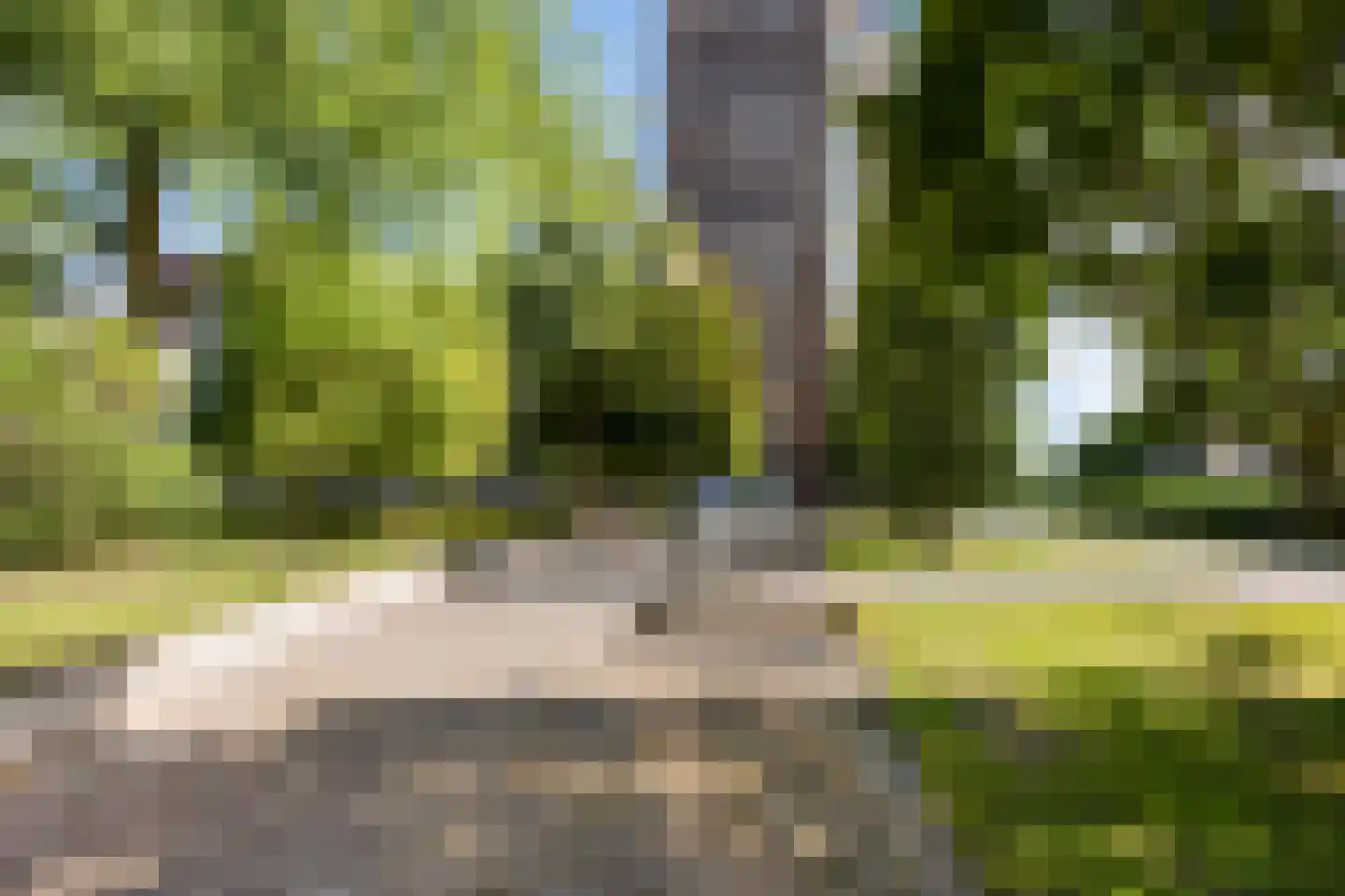 Koolmeesstraat 66 Leiderdorp thumbnail 37