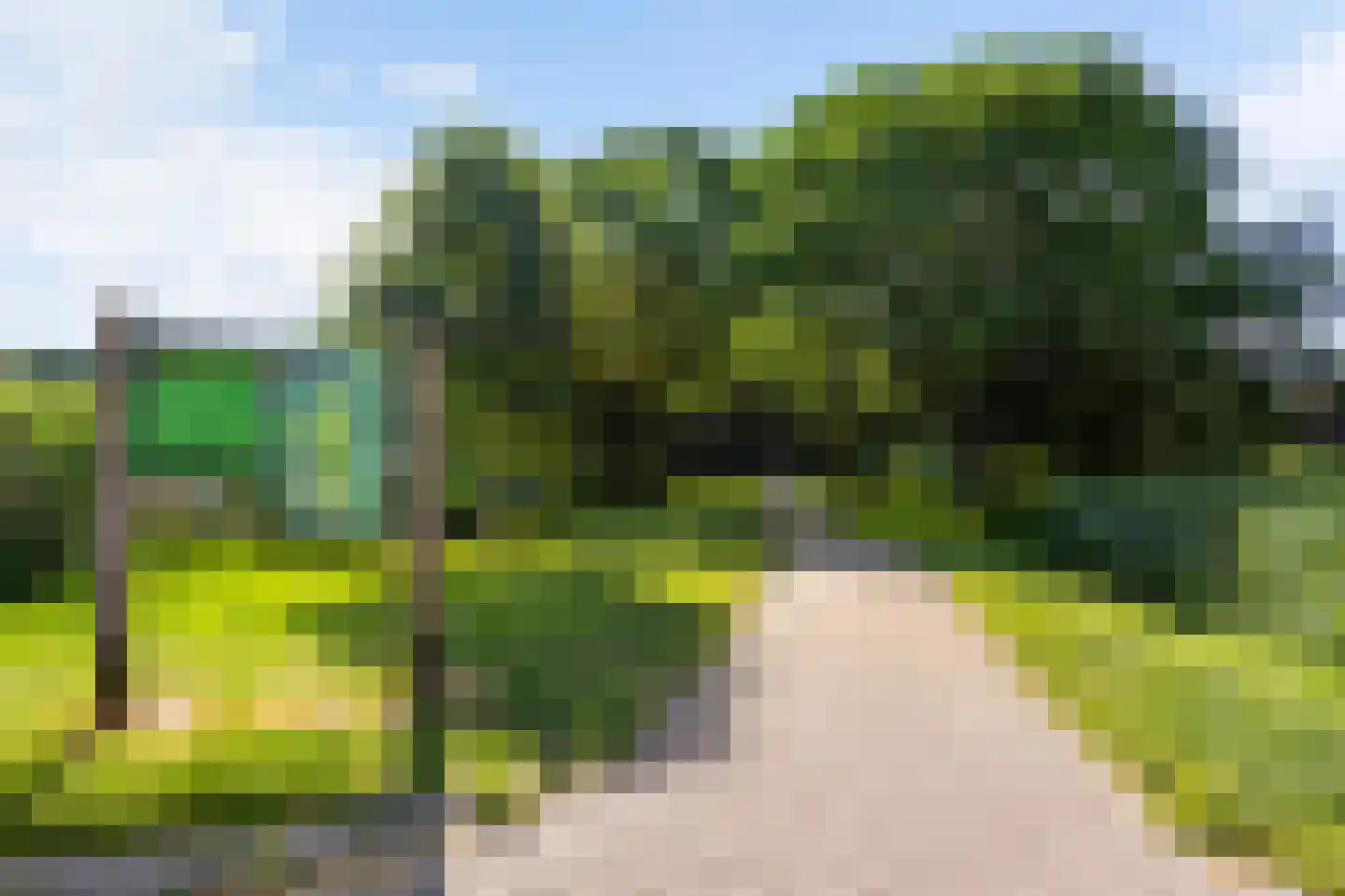 Koolmeesstraat 66 Leiderdorp thumbnail 38