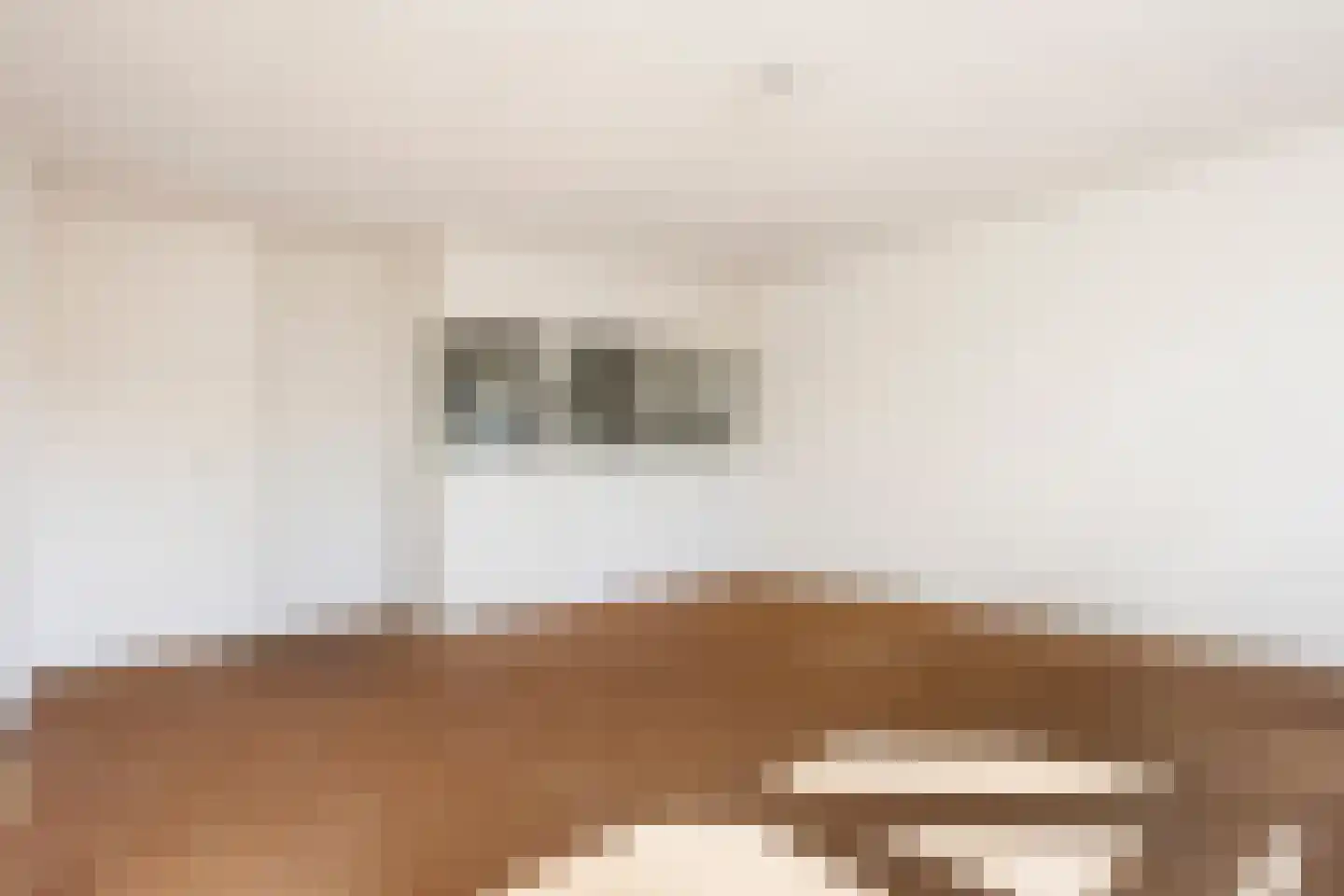 Koolmeesstraat 66 Leiderdorp thumbnail 4