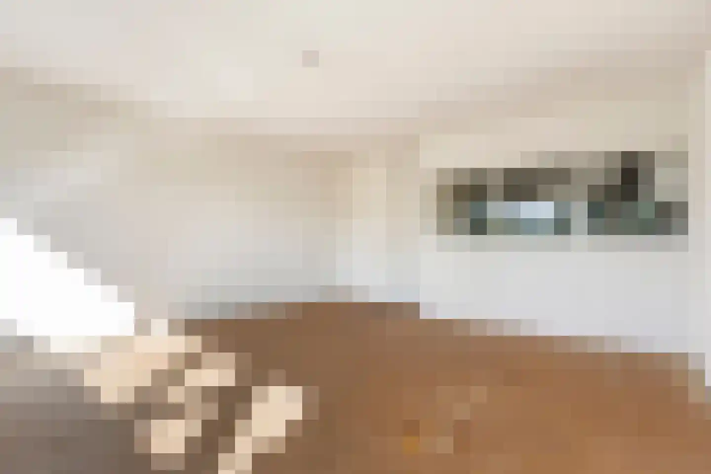 Koolmeesstraat 66 Leiderdorp thumbnail 7