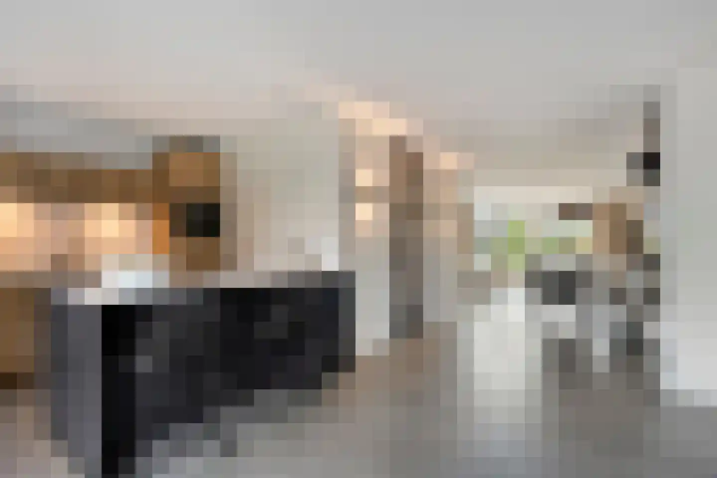 Koolmeesstraat 7 Heerhugowaard thumbnail 17